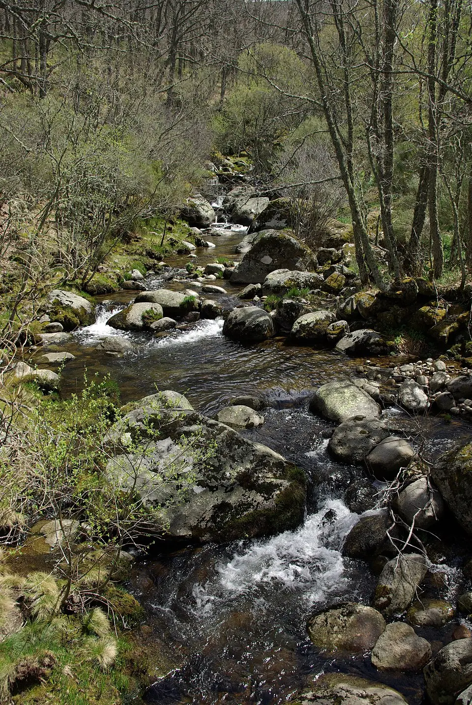 río Cuerpo de Hombre
