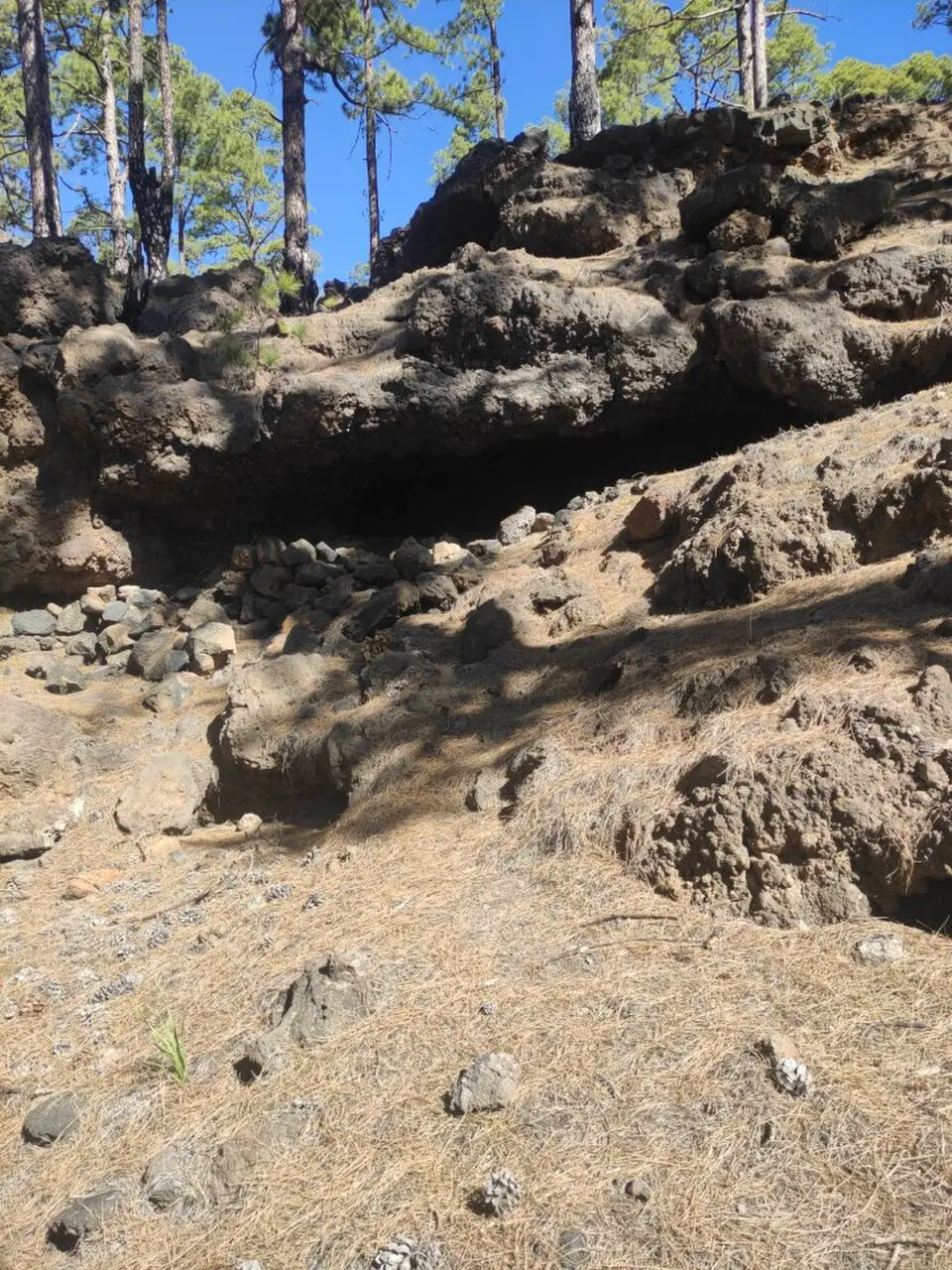 Cueva de los Pajaros
