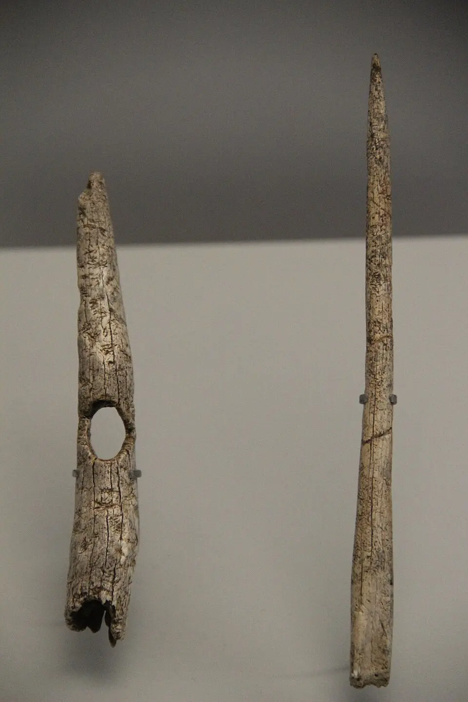Cueva de los Canes