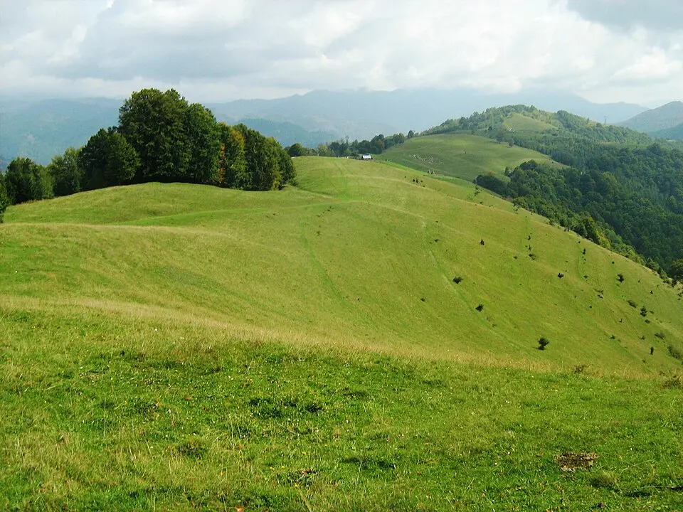 Munții Lătoriței