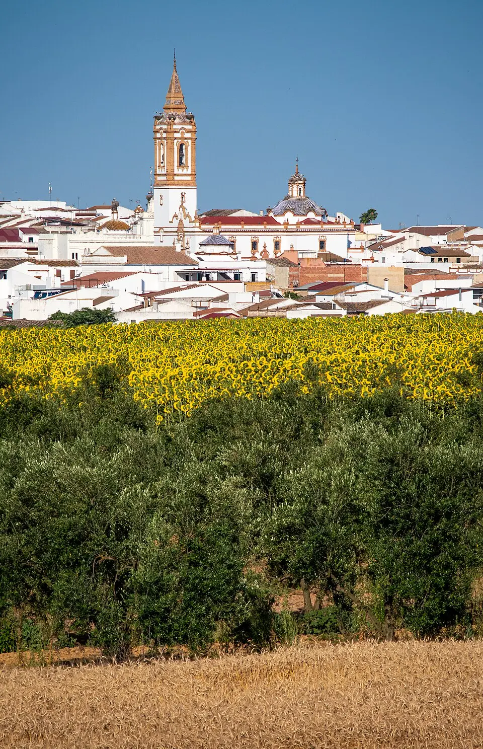 Rociana del Condado