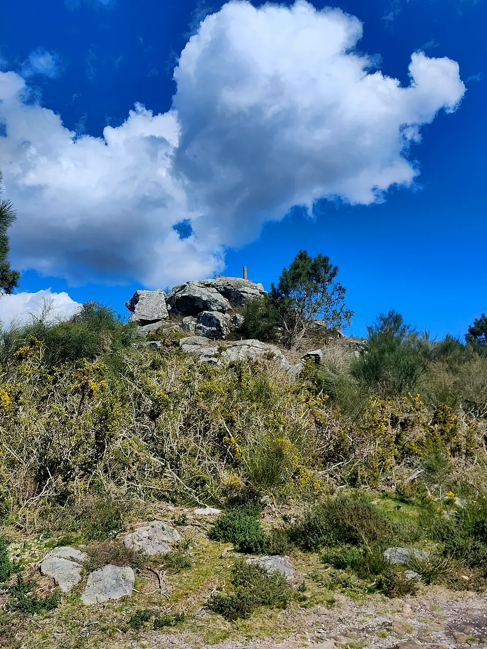Monte Tetón