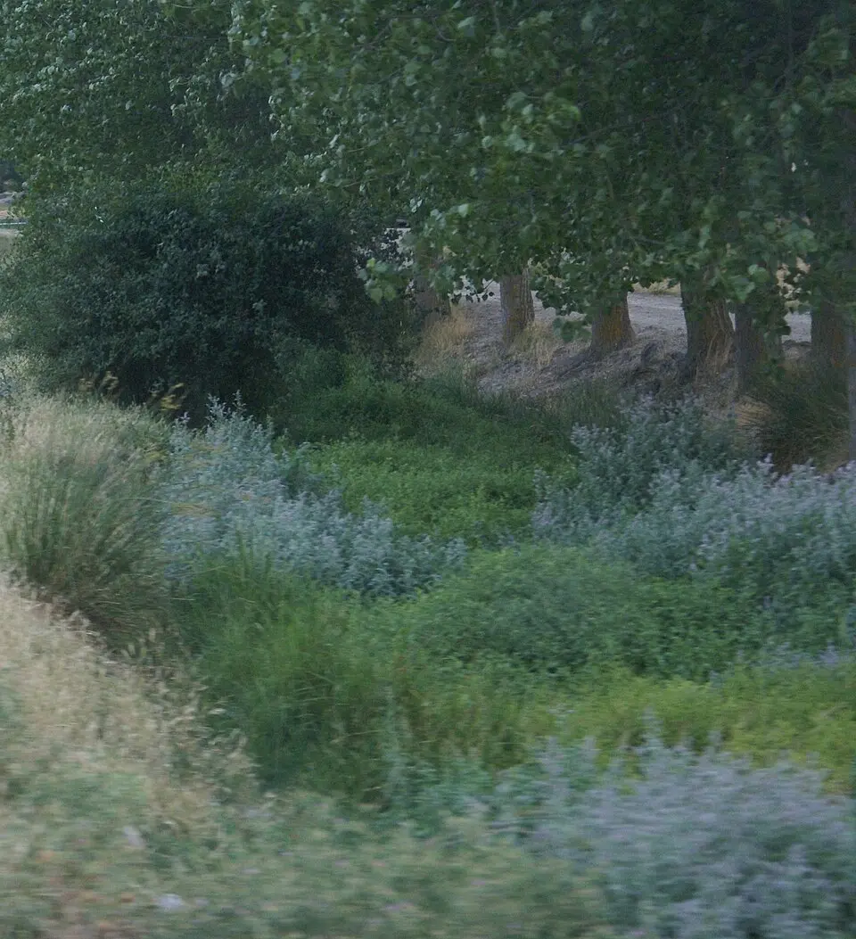 arroyo Valcorba