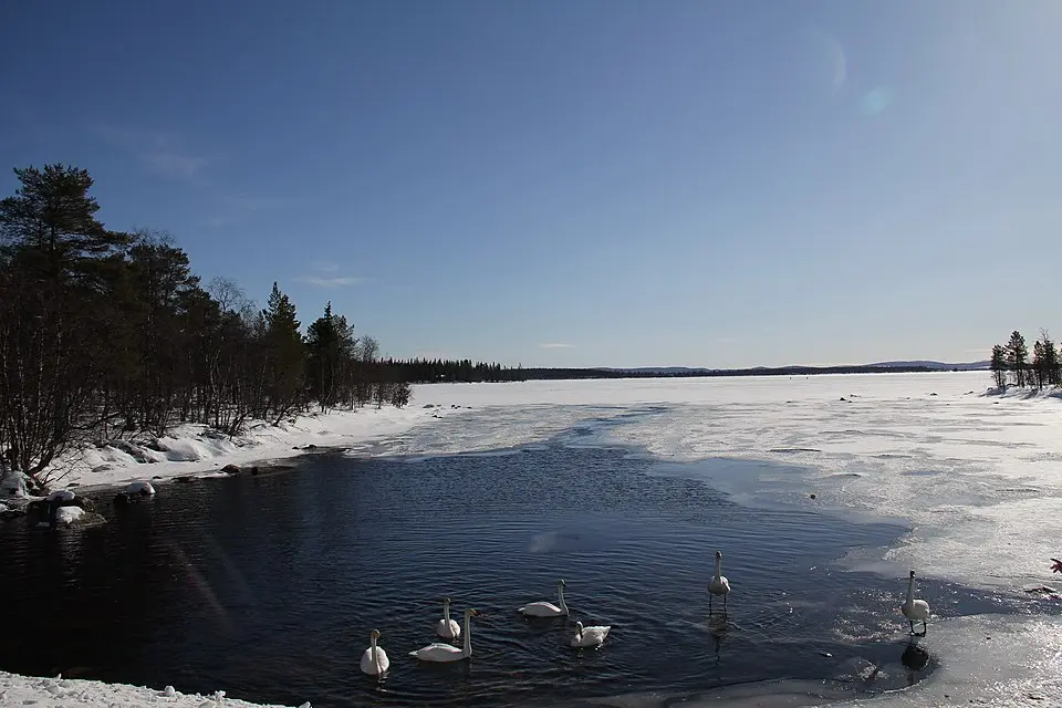 Jerisjärvi