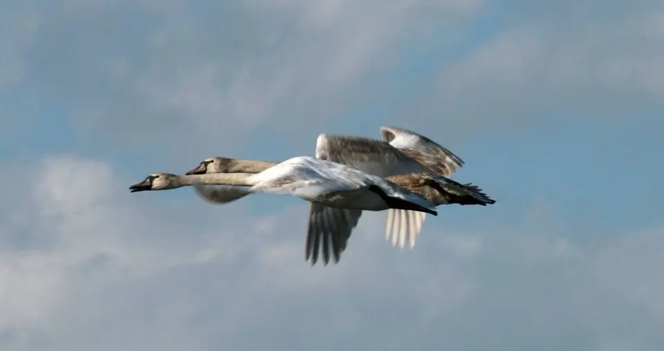Εθνικό Πάρκο Σχινιά Μαραθώνα