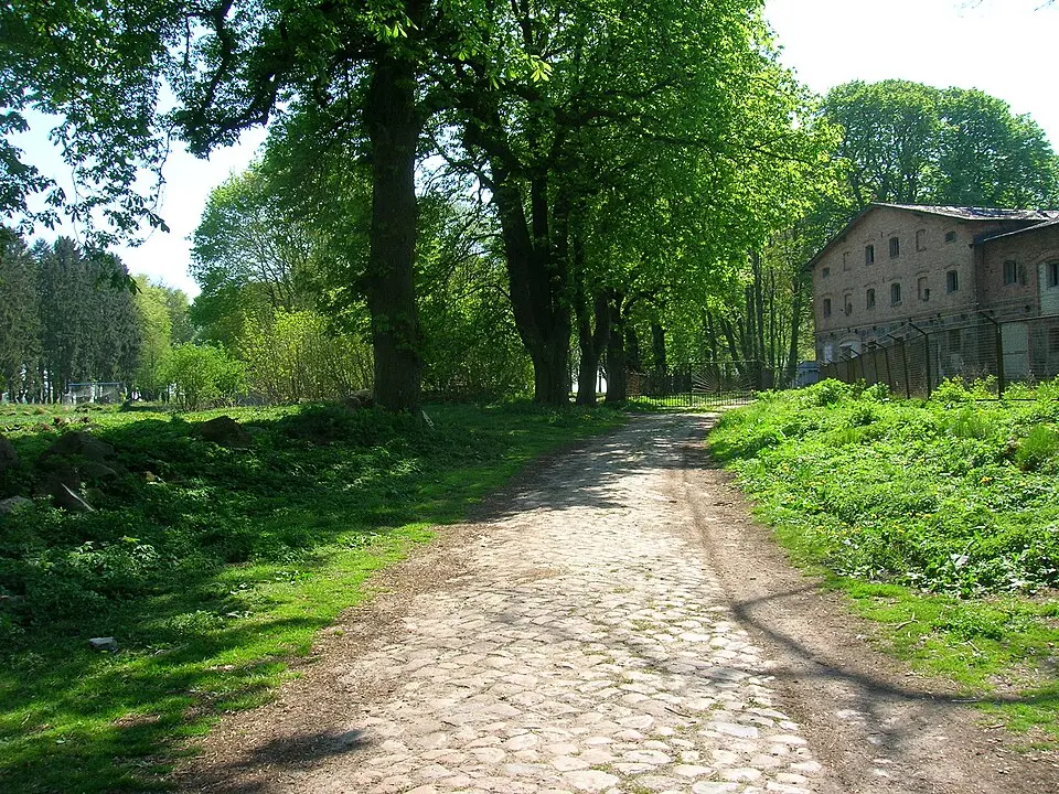 Park pałacowy (z ruiną pałacu)