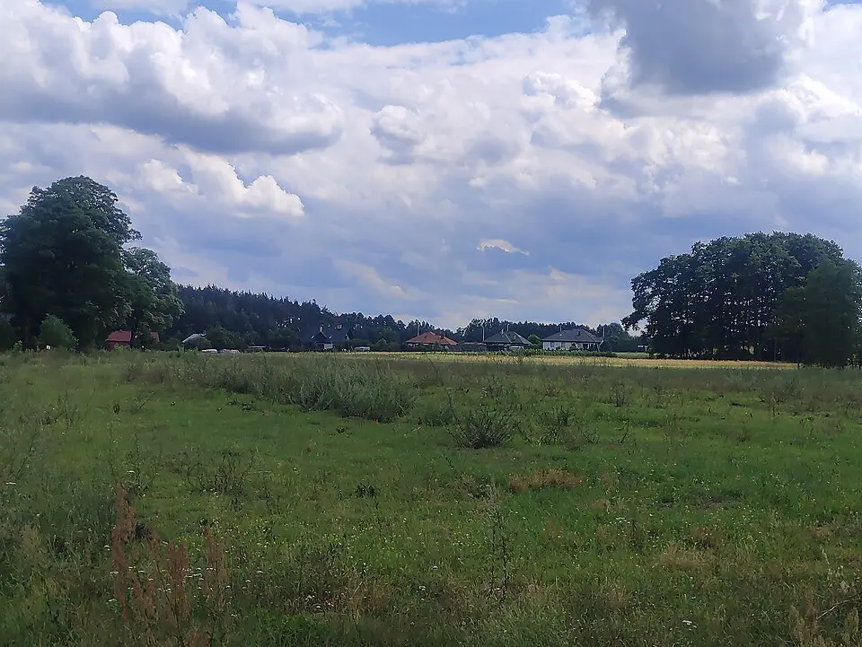 Czekaj