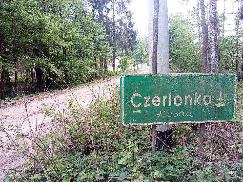 Czerlonka Leśna