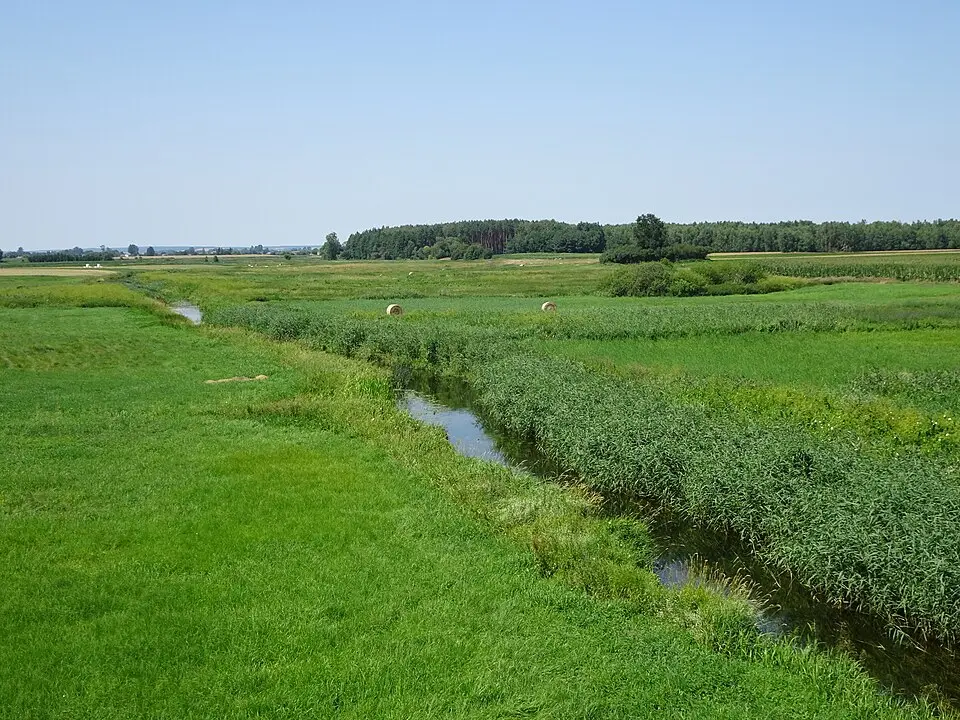 Huczwa