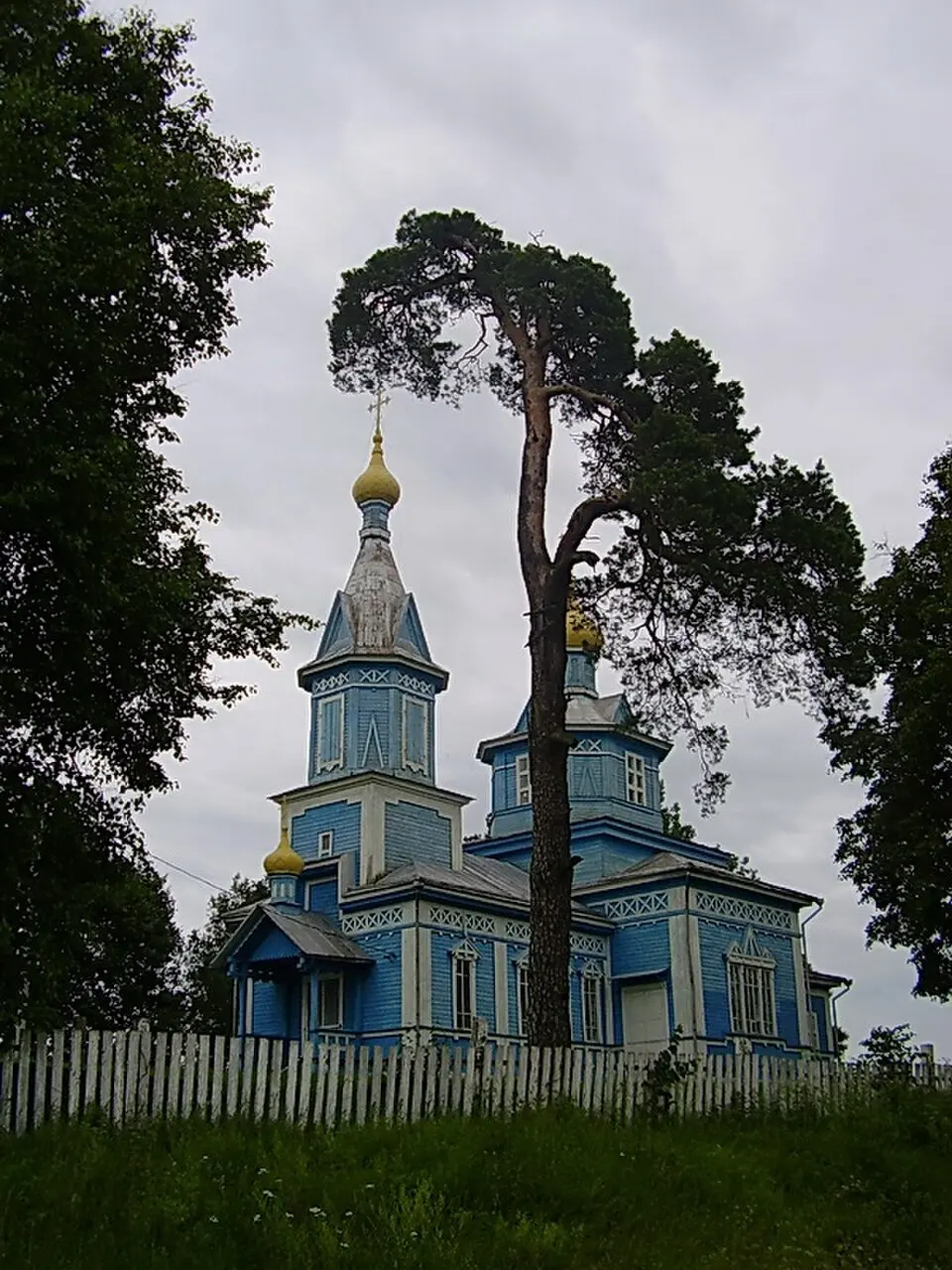 Jodčycy