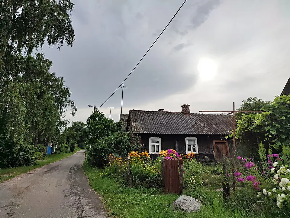 Andrejevičy