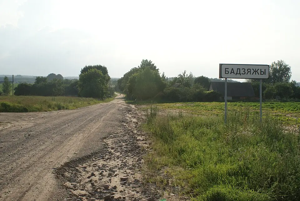 Бадзяжы