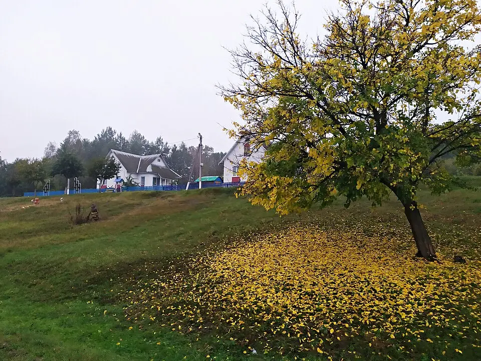 Барбароў