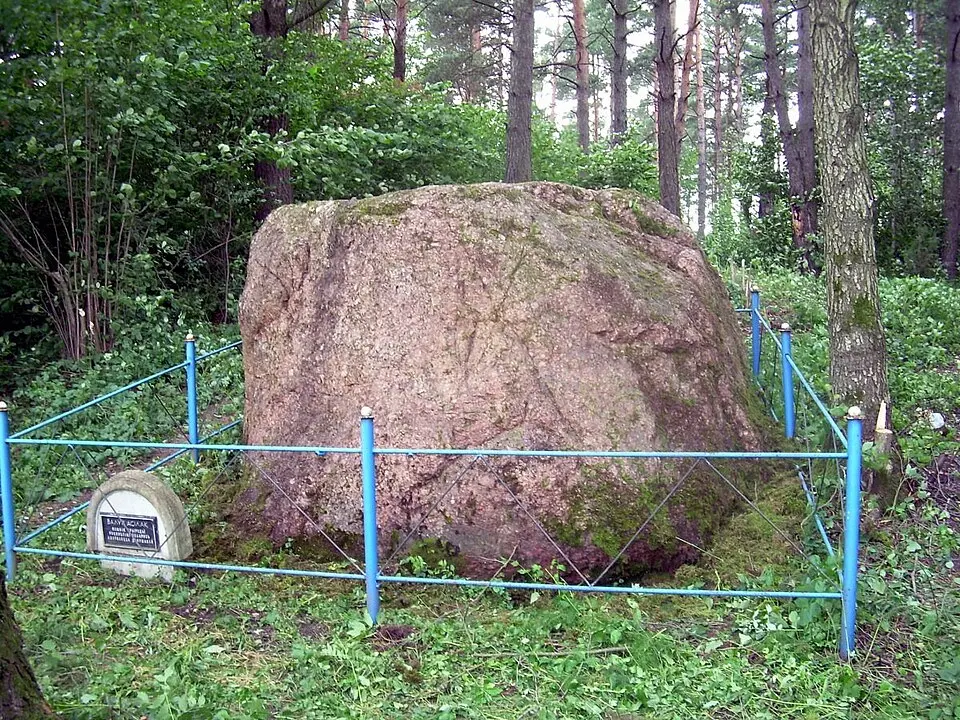 Белая