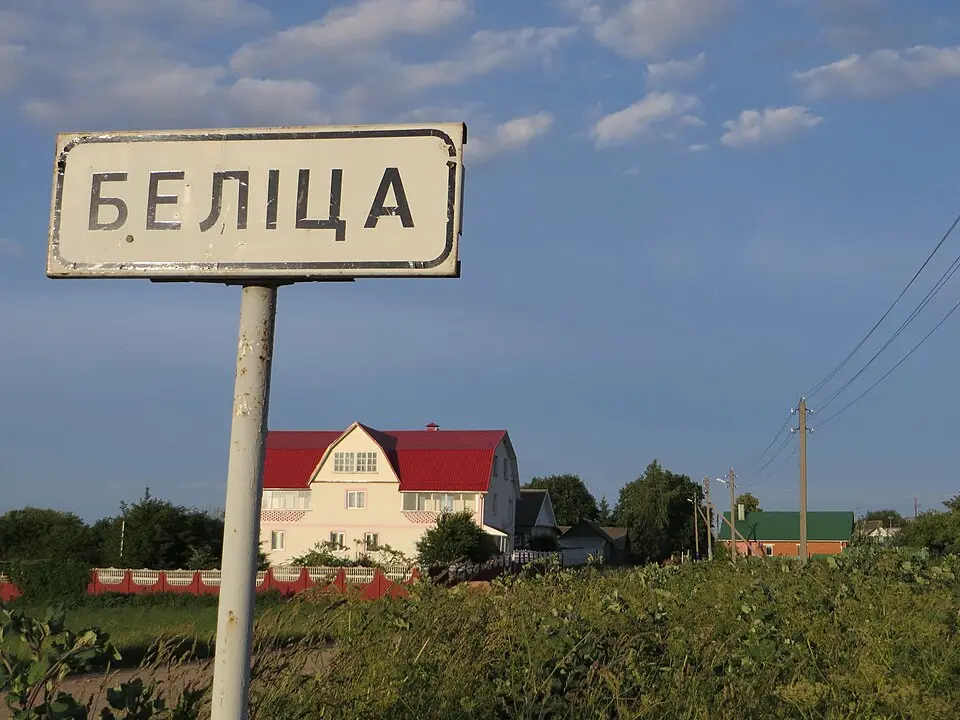Bielica