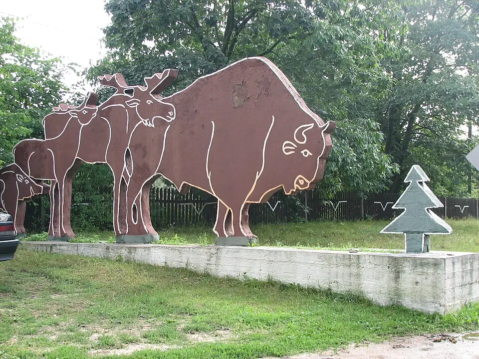Белы Лясок