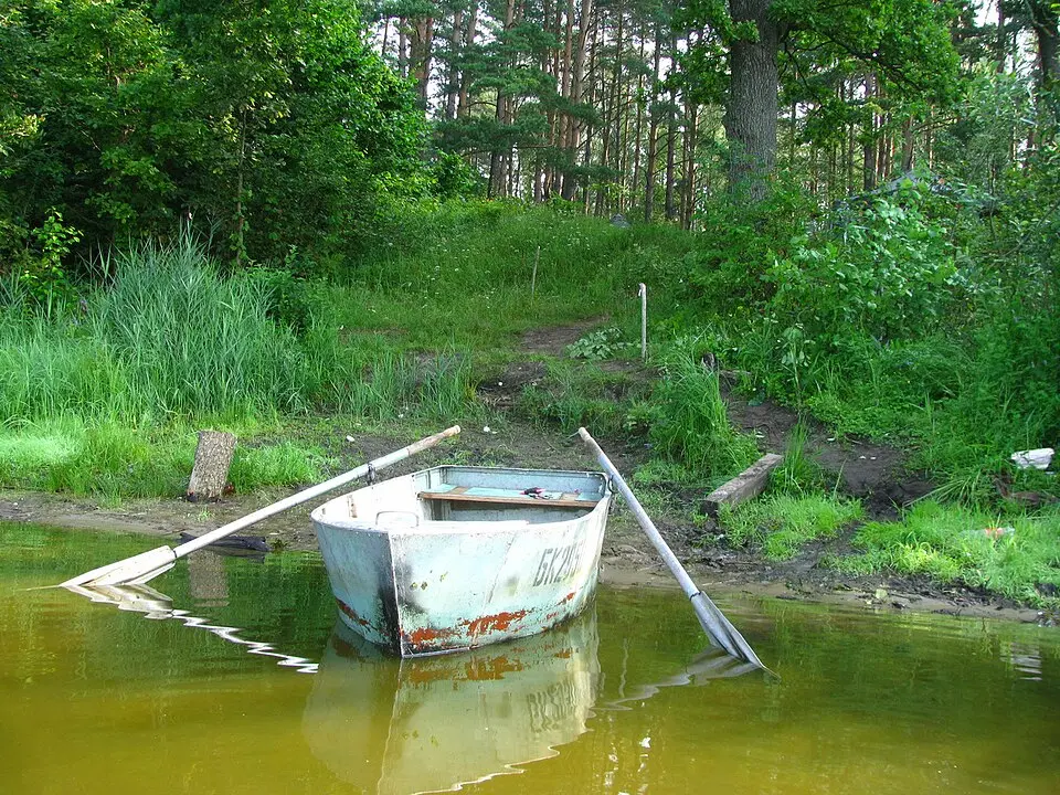 Зелянское