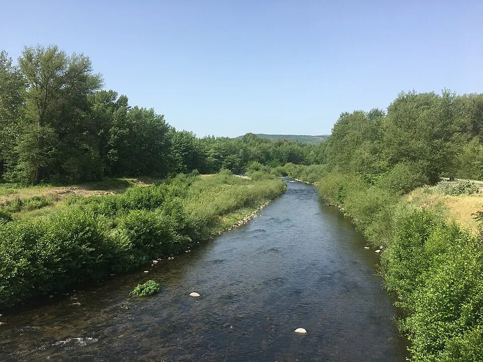 Бошава