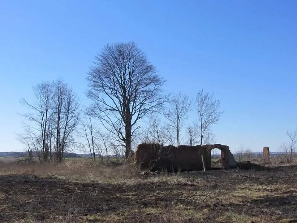 Браносава