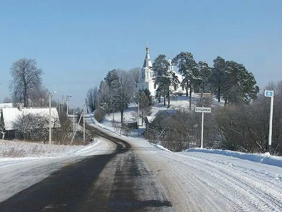 Бушыкі