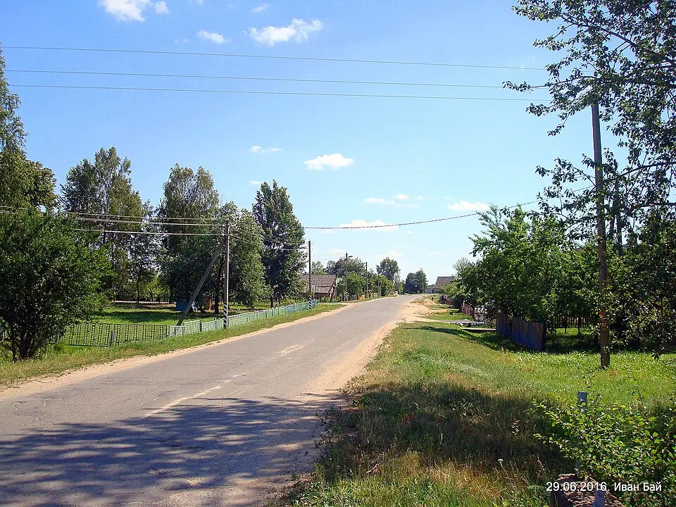 Damatkanavičy