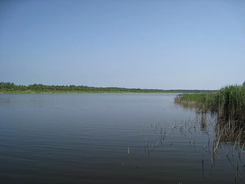 Вязаў Лес