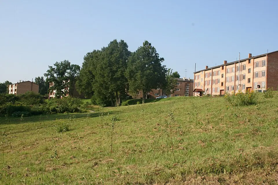 Variņi