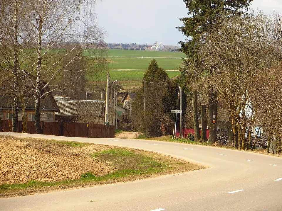Vasilieŭščyna