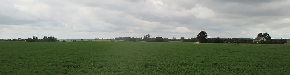 Козічы