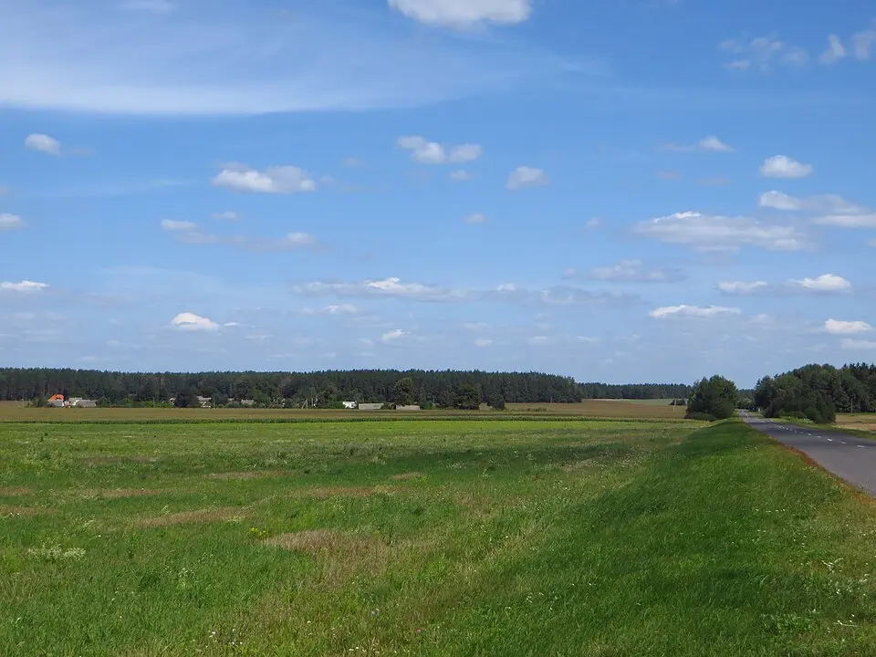Ліпнікі