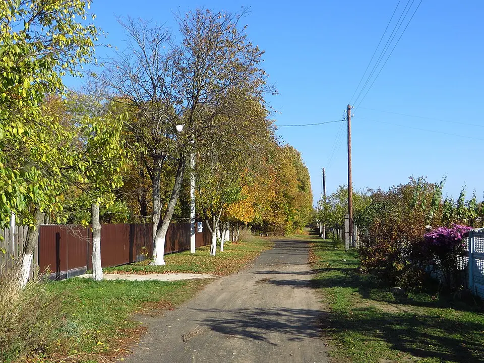 Вішнёўка