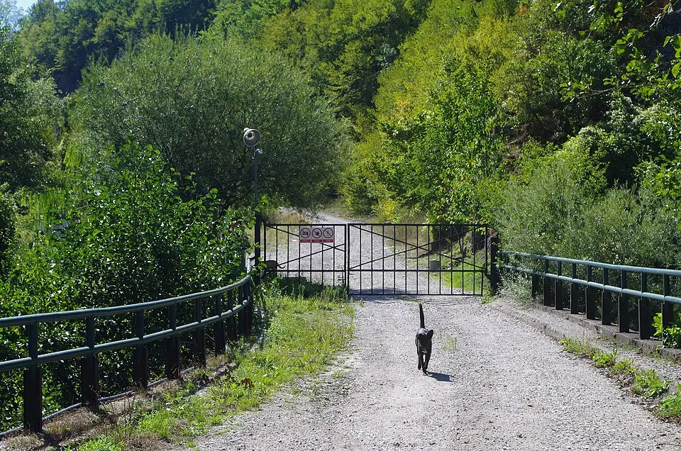 Алшар