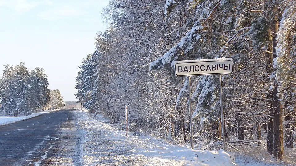 Valosavičy