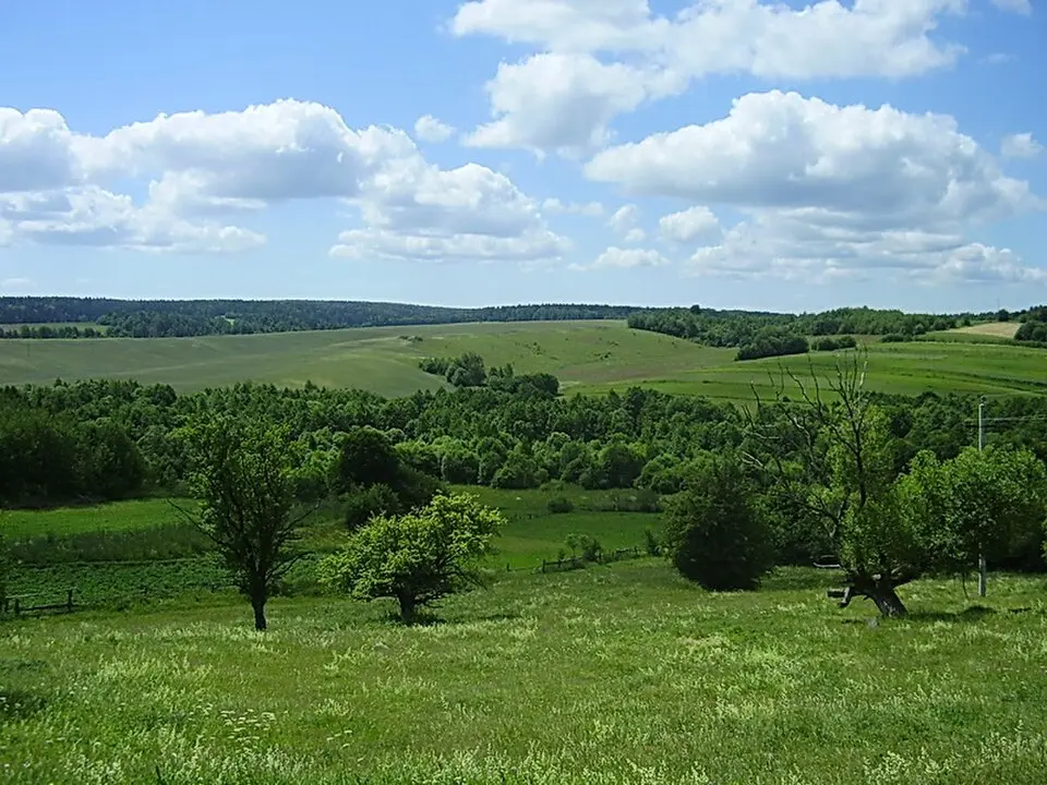 Hajna