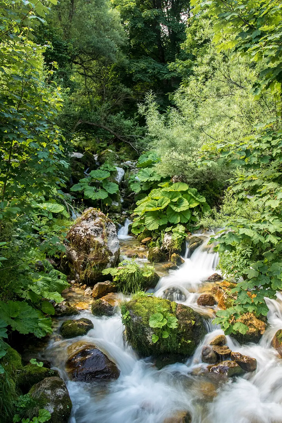 Гарска Река