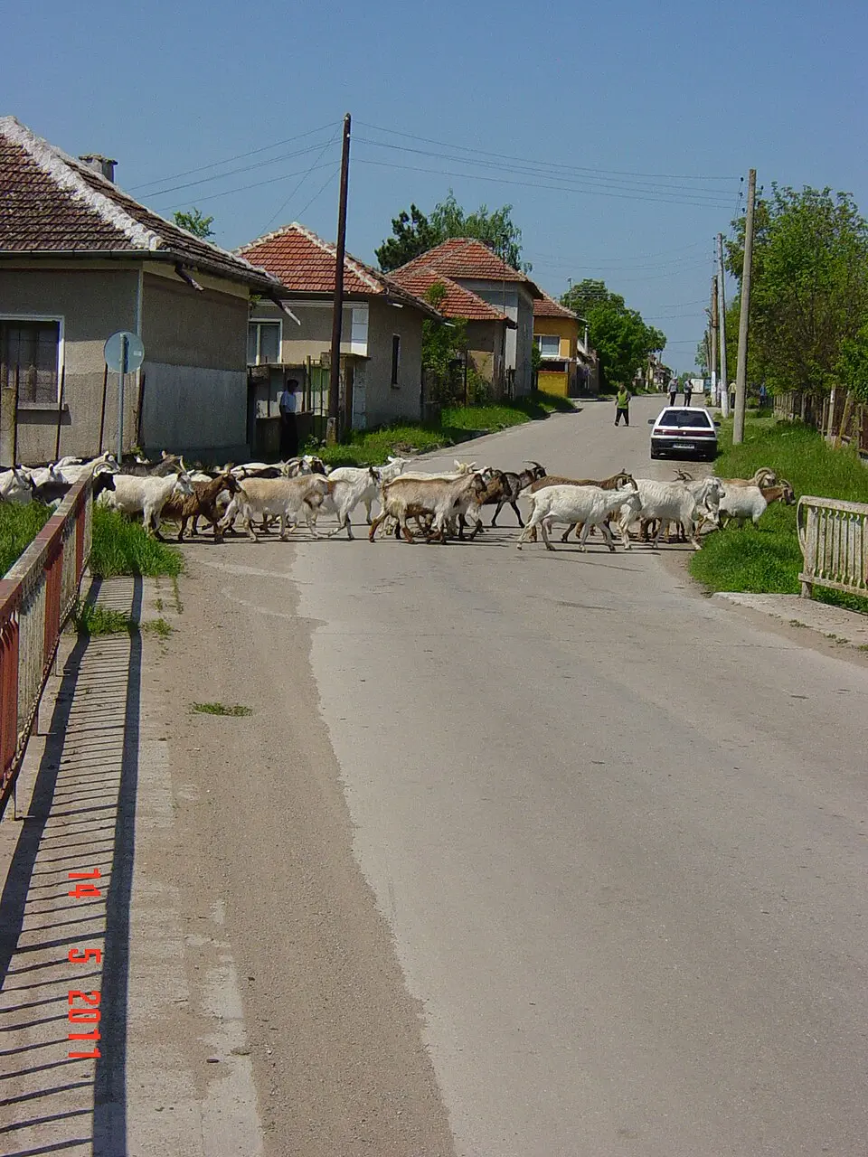 Големо Бабино