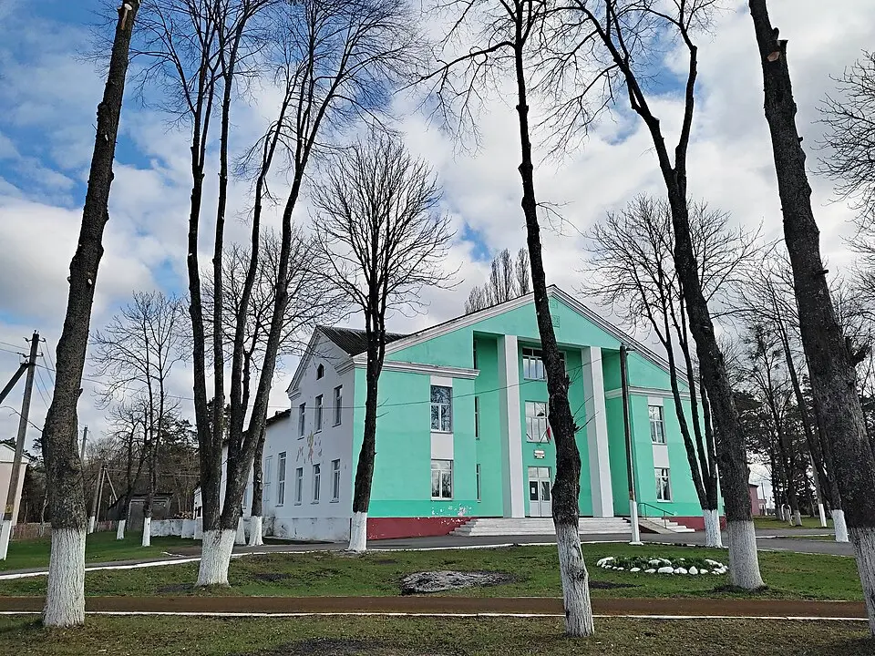 Галоўчыцы