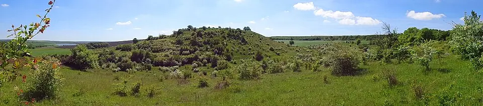 Tranitsa