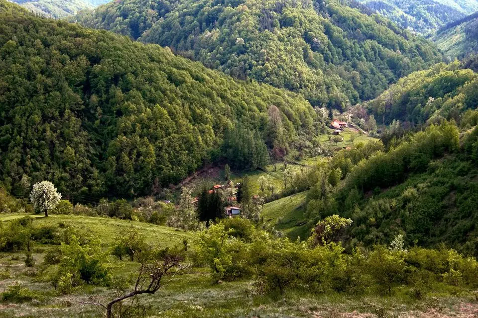 Горни край