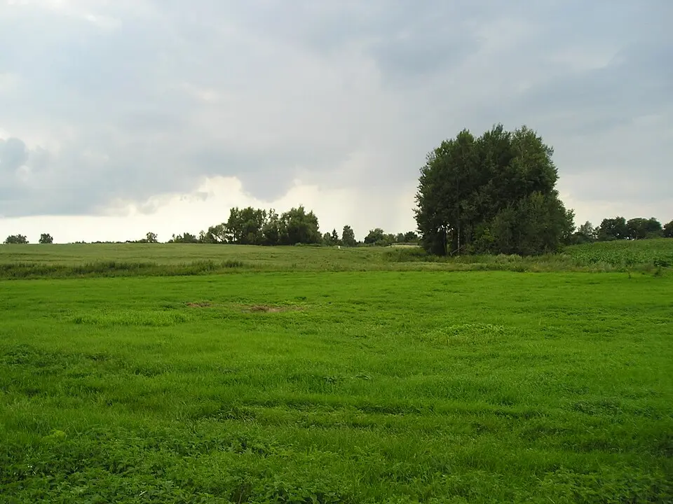 Машанакі