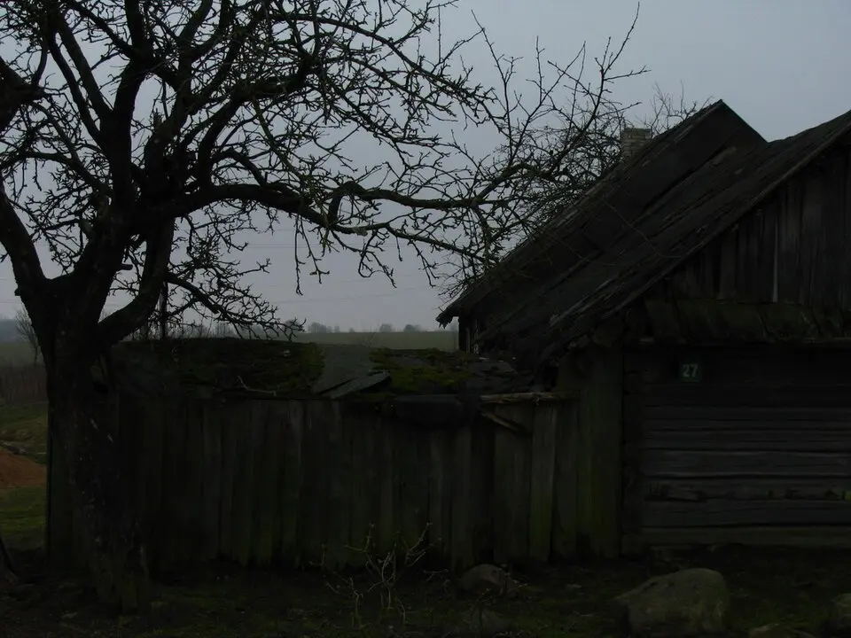 Adamavičy