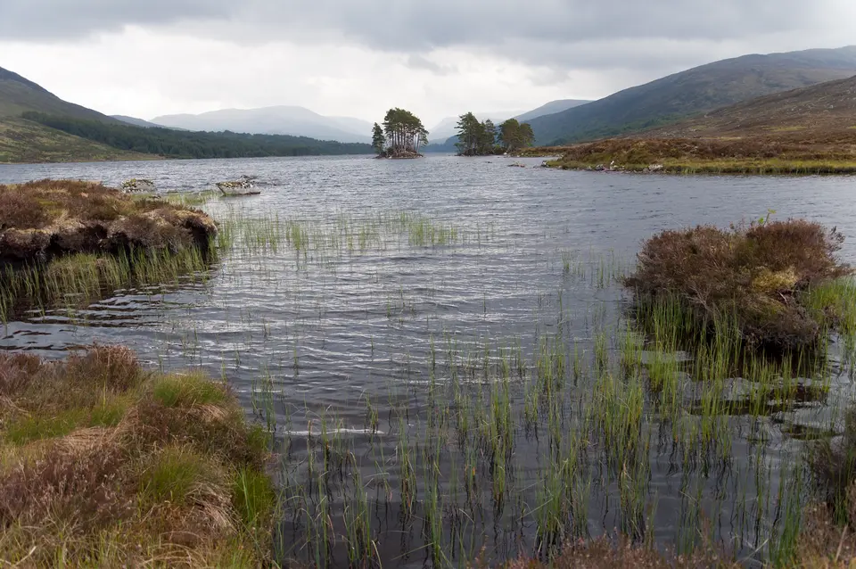 Image: Paul Hermans · CC BY-SA 3.0 Loch Ossian