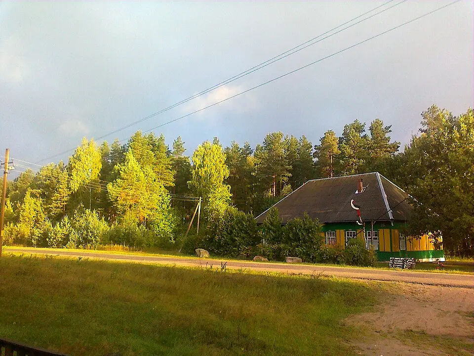 Пятровічы