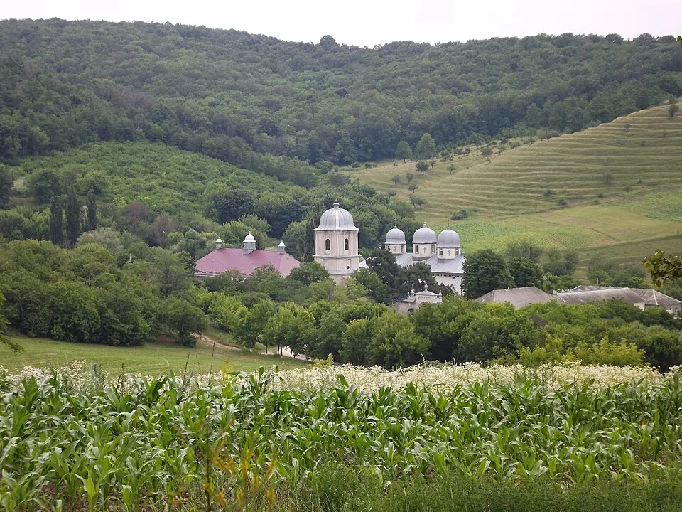 Mănăstirea Dobrușa