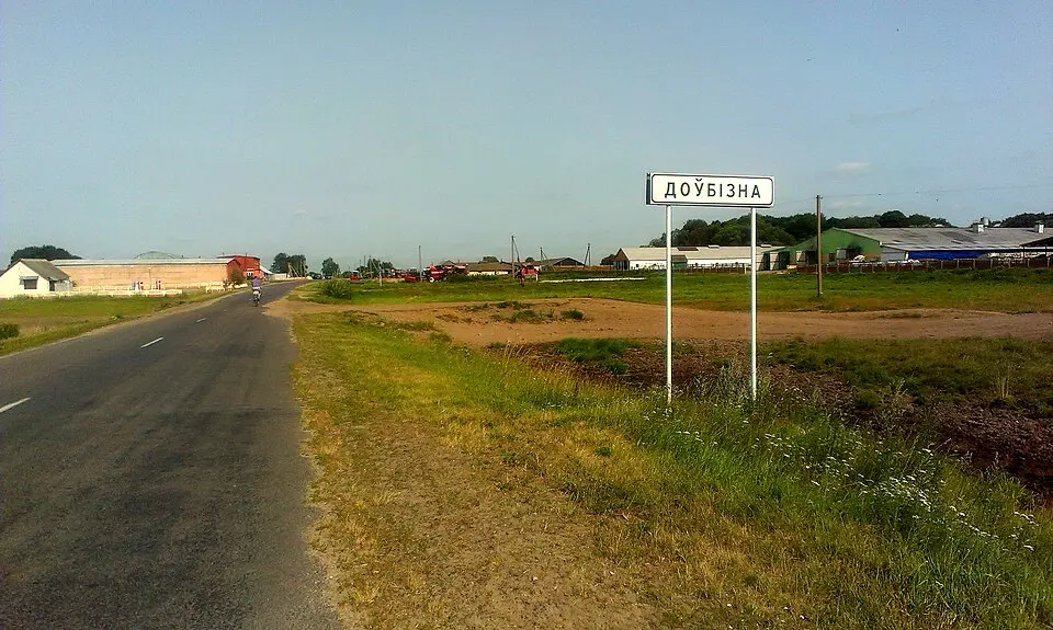 Доўбізна