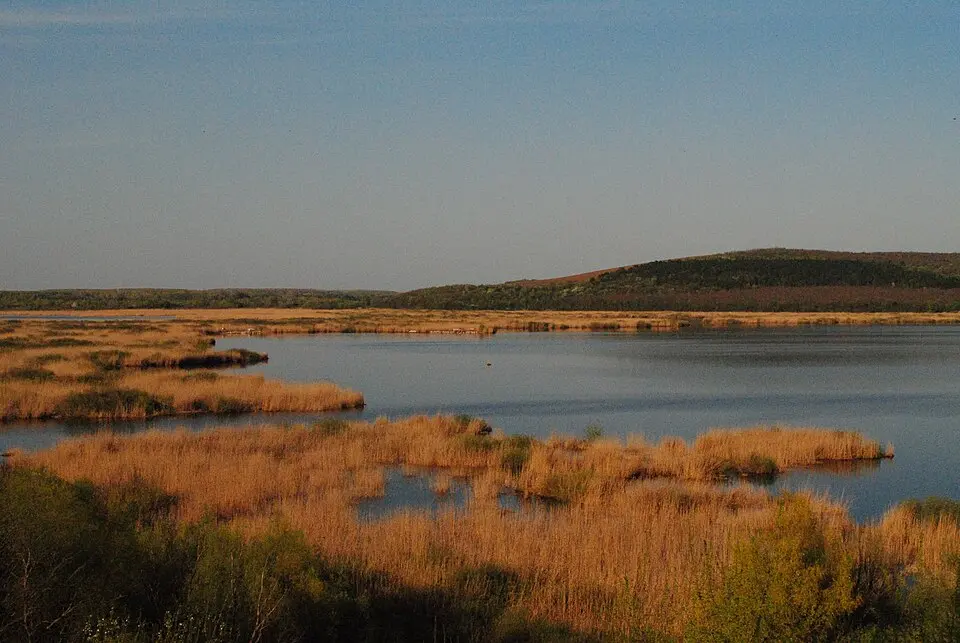 réserve naturelle de Srébarna