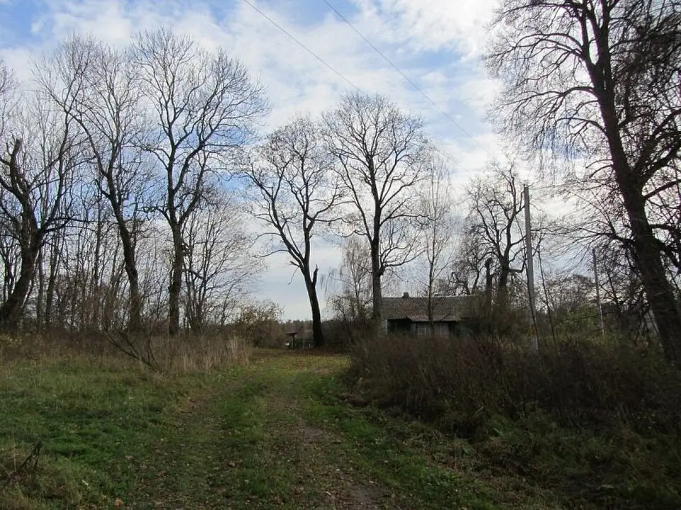 Жарскія