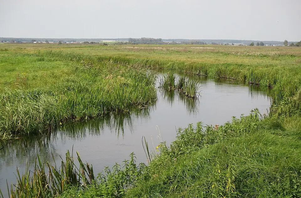 Žižma