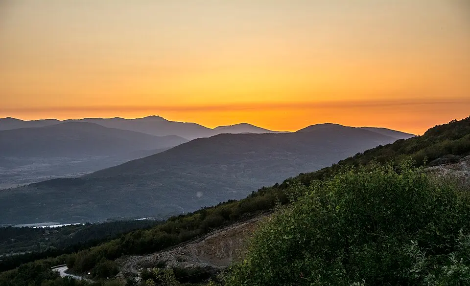 Pirot District