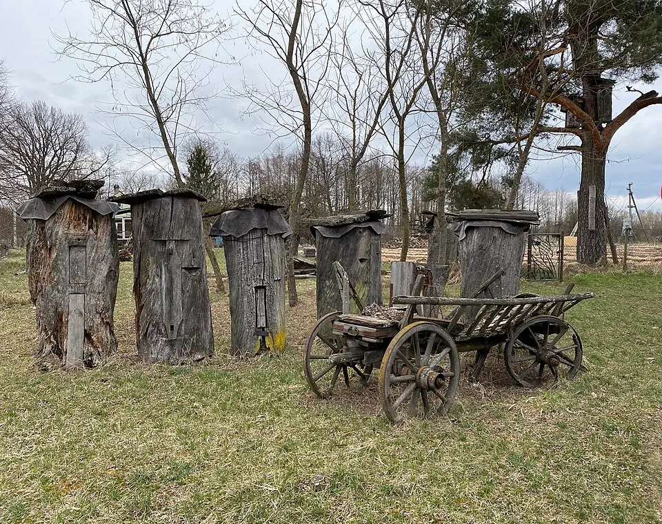 Качановічы